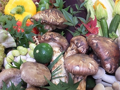 写真：取扱商品　松茸・特大椎茸・アスパラ・花ズッキーニ